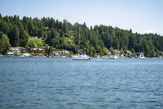 Expensive yachts, boats, and sailboats, docked in the affluent Puget Sound while on summer vacation in the state of Washington.