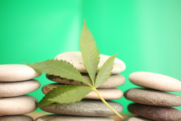 Medical marijuana cannabis cbd oil