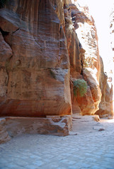 The Siq leading to the lost city of Petra in Jordan