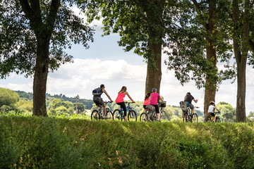 Gruppe von Radlern, Allee, radfahren im Sommer