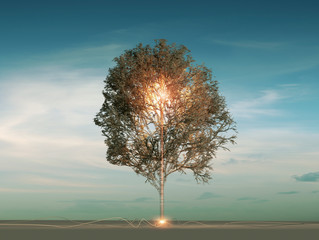 ever expanding knowledge