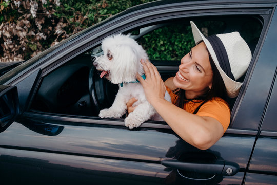 Female model in orange dress driving car with her maltese dog