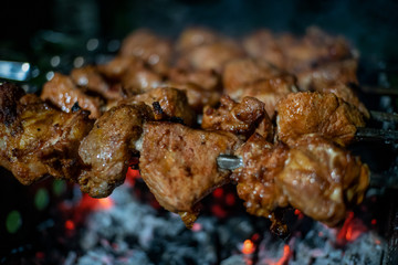 Close-up of grilled kebab on skewers on the grill at night
