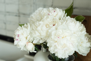 Obraz premium white peonies in the interior. kitchen with white flowers