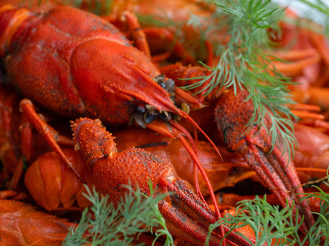 Dish with crayfish