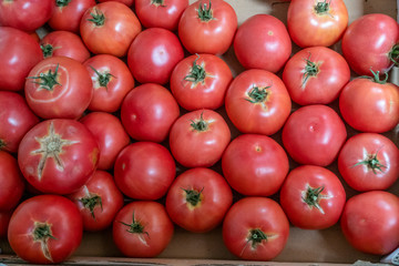 Lots of fresh and ripe tomatoes. Background of tomato.