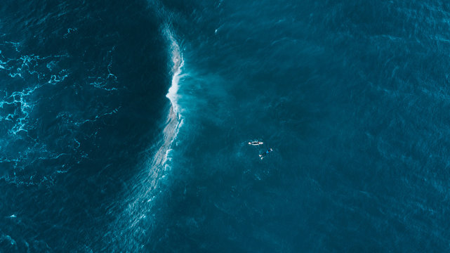Sydney Surf