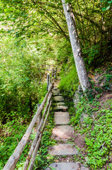 Dorf Tirol, Herrschaftsweg, Tiroler Kreuz, Wanderweg, Wald, Schlosswald, Laubwald, Vinschgau,...