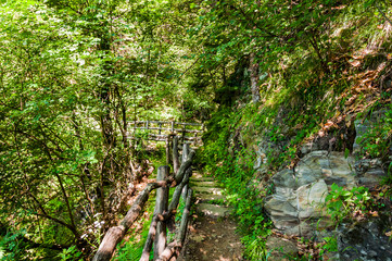 Obraz premium Dorf Tirol, Herrschaftsweg, Tiroler Kreuz, Wanderweg, Wald, Schlosswald, Schutzwald, Vinschgau, Südtirol, Sommer, Italien