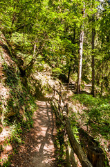 Obraz premium Dorf Tirol, Herrschaftsweg, Tiroler Kreuz, Wanderweg, Wald, Schlosswald, Vinschgau, Südtirol, Sommer, Italien