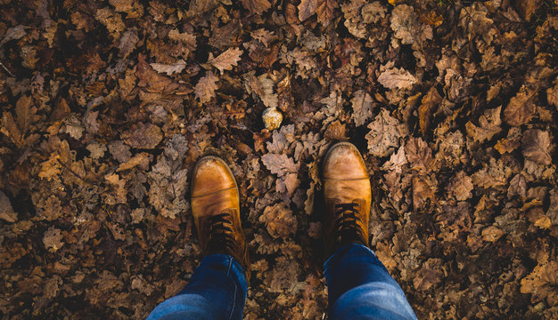 chaussures sur tapis de feuille