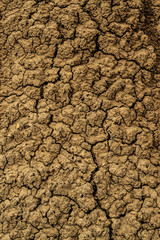 the wall desert