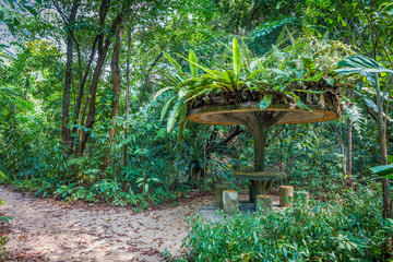 A unique wooden picnic table & picnic bench in a forest with a wooden umbrella camouflaged with tropical jungle leaves, & a pathway surrounded by green exotic trees & bushes in a natural environment