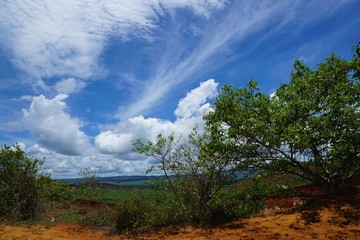 Obraz premium Tsingi rouge nationalpark auf madagaskar in afrika