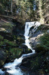 waterfall in the forest 