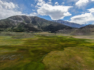 Fototapeta na wymiar Aerial top view of green land and mountain in the background in Aspen Springs, Mono County California, USA