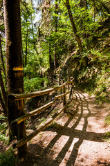 Dorf Tirol, Herrschaftsweg, Tiroler Kreuz, Wanderweg, Wald, Schlosswald, Klimawandel, Vinschgau,...