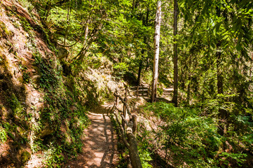 Dorf Tirol, Herrschaftsweg, Tiroler Kreuz, Wanderweg, Wald, Schlosswald, Schutzwald, Vinschgau, Südtirol, Sommer, Italien