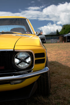 Old Yellow Mustang In Nature