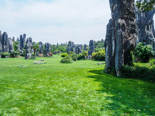 Fototapeta na wymiar Rock formations with trees and bushes between them at Stone Forest in the county 