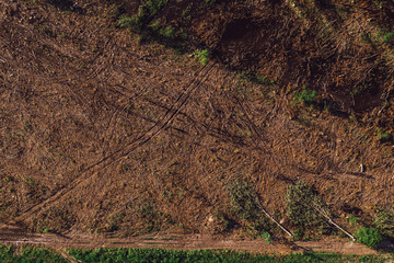 Aerial view of deforested landscape from drone pov
