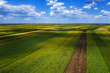 Aerial view of cultivated agricultural fields in summer