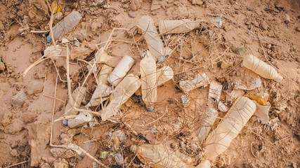 man clogs the environment, plastic bottle lies on the ground, around the yellow flowers, man litters with garbage