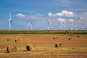 Wind Turbine Renewable Energy Alberta - obrazy, fototapety, plakaty