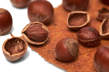Hazelnuts and brown hazel leaves on white background, isolated, closeup