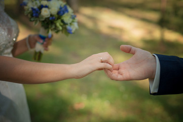 The bride and groom's hands with rings