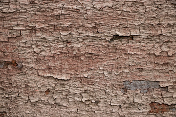 Extreme ugly Vintage worn wood grain texture background surface
