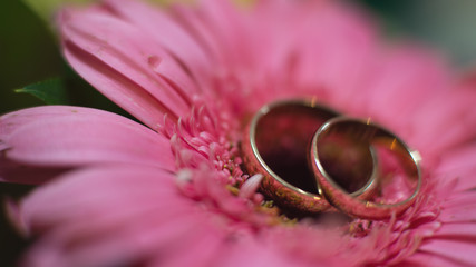 Obraz na płótnie Canvas Wedding rings, close-up