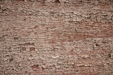 Extreme ugly Vintage worn wood grain texture background surface