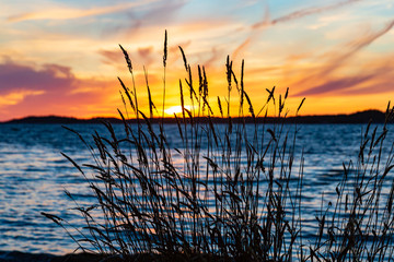 Beautiful silhouette during sunset