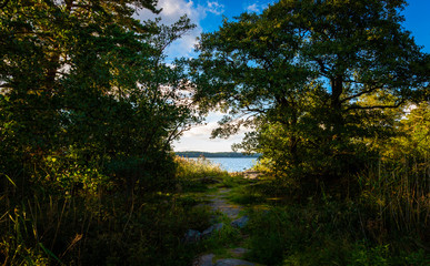 Pathway to the beautiful sea