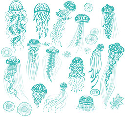 Set of decorated Hand drawn Jellyfishes © Viktoriia Protsak