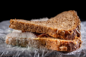 Moldy sandwich with smoked meat in a plastic bag. Dark bread with grains covered with white mold.