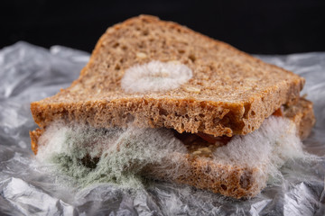 Moldy sandwich with smoked meat in a plastic bag. Dark bread with grains covered with white mold.
