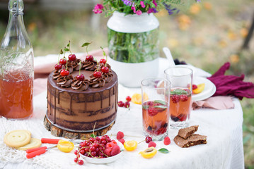 Naklejka na ściany i meble Summer picnic on nature, with a delicious chocolate cake, compote, berries, wild flowers