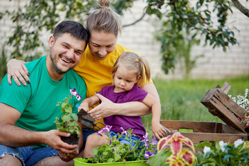 Fototapeta premium Happy family gardening together and taking care of nature. Plant sprouts and fertilize the ground. Mother, father and little child in colorful bright t-shirts in kailyard