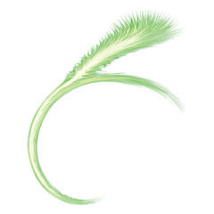 Abstract background. Explosion. Vector drawing