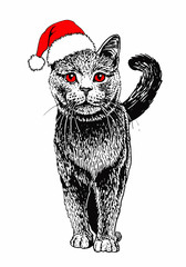 Graphical cat in Santa Claus hat isolated on white background,vector new year illustration