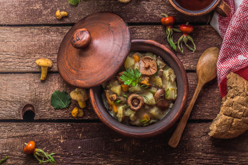 Vegeterian potato and mushrooms stew in a clay pot, copy space
