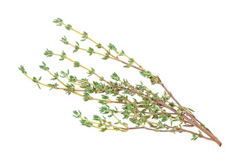 Fresh thyme sprig isolated on white background, close-up. Spices.