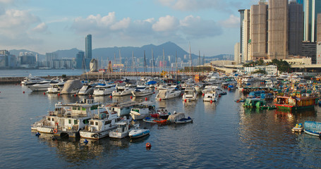 Hong Kong harbor, typhoon shelter