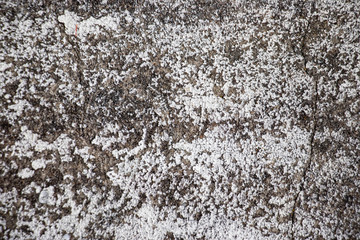 White and grunge worn rough grunge distressed weathered old wall texture background