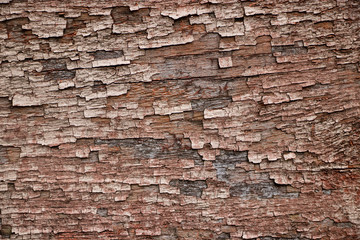 Extreme ugly Vintage worn wood grain texture background surface