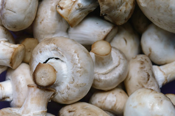 champignons can be used in a wide variety of dishes