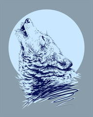 The wolf howling at the moon. Sketchy, graphical,  portrait of a wolf head on a blue  background.