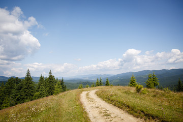 Carpathian landscape. Dirt road in the mountains. Hiking. Rural landscape in Carpatians, Ukraine. Young spruces coniferous forest and beautiful sky. Panorama of mountains from Mount Kostrycha, Ukraine